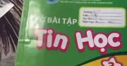 Sách Tin học lớp 3 chứa link độc hại: Góc khuất quản lý tên miền và địa chỉ đen ở Iceland