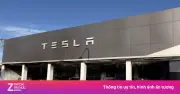 Showroom Tesla tại Sydney bị phóng hỏa giữa đêm, nhiều xe điện bị thiêu rụi