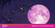 Siêu Trăng Hồng Rực Sáng Trên Bầu Trời TP.HCM: Hướng Dẫn Quan Sát Chi Tiết