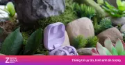 Sony WF-LC900: Tai nghe kẹp vành tai đầu tiên, thoải mái tối đa nhưng đánh đổi chất âm