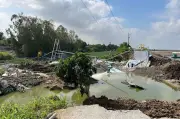 Sạt lở bờ ao, hơn 100 tấn cá tra của nông dân Đồng Tháp trôi sông