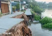 Sạt lở nghiêm trọng bờ sông ở Cần Thơ, giao thông bị chia cắt