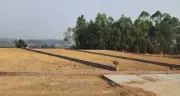 Từ 1.500m2 đất hợp thửa có được tách thành 2 lô mặt tiền quốc lộ?