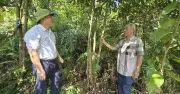 Từ hỗ trợ sang tự chủ sinh kế: Chuyển biến vùng cao Quảng Ninh