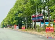 Đất nông nghiệp, đất rừng đối mặt nguy cơ mất thanh khoản cao