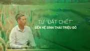 Từ 'Đất Chết' Đến 'Đất Sống': Hành Trình Hồi Sinh Kỳ Diệu Của Cánh Đồng An Thanh