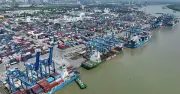 Thủ Tục Chậm Cập Nhật Khiến Hàng Loạt Đơn Hàng Tôm Cà Mau Bị Hủy, Thiệt Hại Hàng Chục Tỷ Đồng
