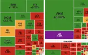 Thị trường chứng khoán bứt phá mốc 1.800 điểm nhờ lực kéo từ Vingroup