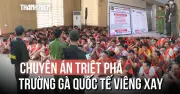 Thanh Hóa đột kích trường gà xuyên quốc gia, bắt 40 đối tượng