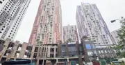 Thanh Tra Chính Phủ Chuyển Hồ Sơ Dự Án Usilk City Sang Bộ Công An Do Nghi Vấn Vi Phạm