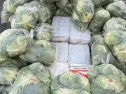 Thái Lan Bắt Giữ 16 Tấn Ma Túy Giấu Dưới Các Túi Rau Bắp Cải