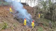 Thái Nguyên tăng cường phòng cháy rừng mùa khô, duy trì an toàn trên 485.000ha