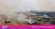 Thảm kịch đốt rơm rạ: Người phụ nữ Cần Thơ tử vong do ngạt khói giữa đồng