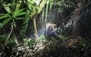 Thông tin gia đình chi tiền cứu nạn vụ nam sinh mất tích ở Tam Đảo là không đúng sự thật