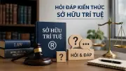Tại sao ý tưởng không được bảo hộ bản quyền? Cân bằng sáng tạo và lợi ích cộng đồng