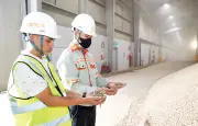 Tiềm Năng Khổng Lồ Của Năng Lượng Sinh Khối Việt Nam: Từ Phế Phẩm Thành Nguồn Lực Xanh