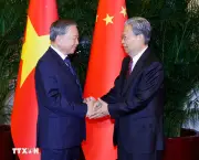 Tổng Bí thư, Chủ tịch nước Tô Lâm hội kiến Ủy viên Trưởng Nhân đại toàn quốc Trung Quốc