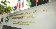 Tập đoàn Cao su Việt Nam giảm nhân sự công ty mẹ, tăng thu nhập và mở rộng đầu tư năm 2025