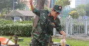 TP.HCM bắn pháo hoa 8 điểm mừng 51 năm thống nhất đất nước