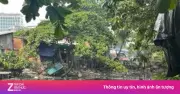 TP.HCM chi hơn 2.900 tỷ cải tạo rạch Ông Bầu, rạch Chín Xiểng