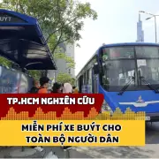 TP.HCM nghiên cứu miễn phí xe buýt cho toàn bộ người dân, hướng tới giao thông công cộng bền vững