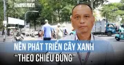 TP.HCM: 'Thiên đường' bóng cây và nỗi ám ảnh thiếu mảng xanh