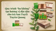 Trà Shan Tuyết Hồng Thái: Hương vị tinh túy từ xứ sương mù Tuyên Quang