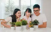 Trước và sau hôn nhân: Sự thay đổi đáng kinh ngạc của các cung hoàng đạo