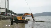 Trục vớt vật thể giống xác xe tăng nổi lên ở biển Quy Nhơn