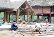 Trải Nghiệm Độc Đáo Vùng Đất Tổ: Từ Hội Trái Văn Hóa Đến Hùng 2026