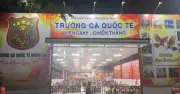 Triệt phá đường dây đánh bạc xuyên quốc gia, khởi tố 196 bị can