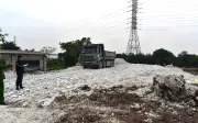 Đổ trộm chất thải xuống ao, người đàn ông bị đề nghị truy tố