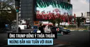 Trump Tuyên Bố Lệnh Ngừng Bắn Với Iran, Thị Trường Thở Phào Nhẹ Nhõm