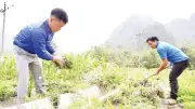 Tuổi Trẻ Tuyên Quang Chung Tay Xây Dựng Nông Thôn Mới Với Nhiều Mô Hình Kinh Tế Sáng Tạo