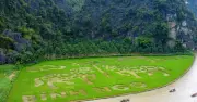 Tuần Du Lịch Ninh Bình 2024: Khám Phá Những Điểm Đến Hấp Dẫn Và Hoạt Động Đặc Sắc