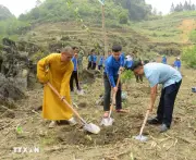 Tuyên Quang chung tay phủ xanh biên giới, hướng tới phát triển bền vững