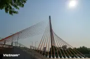 Tuyệt tác cầu dây văng Trần Thị Lý: Ngắm cảnh bướm đà Đà Nẵng rẽ sóng, vươn khỏi xa
