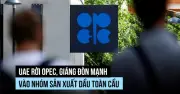 UAE rời OPEC: Đòn giáng mạnh vào tổ chức dầu mỏ