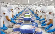 UOB Dự Báo Kinh Tế Việt Nam Đầu 2026 Ổn Định, Duy Trì Đà Tăng Trưởng