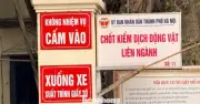 Vụ án giết mổ lợn bệnh ở Hà Nội: 8 bị can khởi tố, tiêu thụ 3.600 con lợn dịch