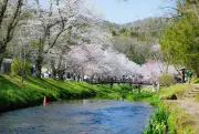 Vẻ Đẹp Cổ Tích Của Oshino Hakkai - Ngôi Làng Cổ Dưới Chân Núi Phú Sĩ