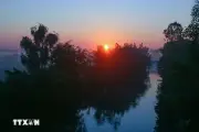 Vẻ Đẹp Thơ Mộng Trong Sương Sớm Ở Miền Quê Sông Nước Cần Thơ