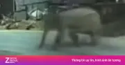 Video ghi lại cảnh vượt rừng, phá rào thép vào trường học ở Sơn La