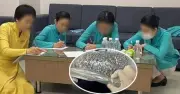 Viện Kiểm sát TP.HCM hoàn tất cáo trạng truy tố 227 bị can trong chuyên án ma túy VN10