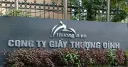 Vinaconex Mua 24% Cổ Phần Giầy Thượng Đình, Cơ Cấu Đầu Tư Biến Động
