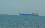 Việt Nam khẳng định quan điểm bảo đảm tự do hàng hải và an toàn cho tàu tại eo biển Hormuz