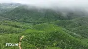 Việt Nam Nhận Gần 72 Triệu USD Hỗ Trợ Tài Chính Xanh Từ Nhật Bản