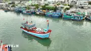 Việt Nam siết chặt quy định kiểm soát tàu nước ngoài vận chuyển thủy sản