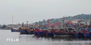 Việt Nam triển khai hệ thống truy xuất nguồn gốc thủy sản khai thác điện tử
