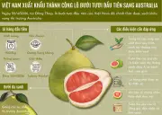 Việt Nam xuất khẩu thành công lô bưởi tươi đầu tiên sang Australia